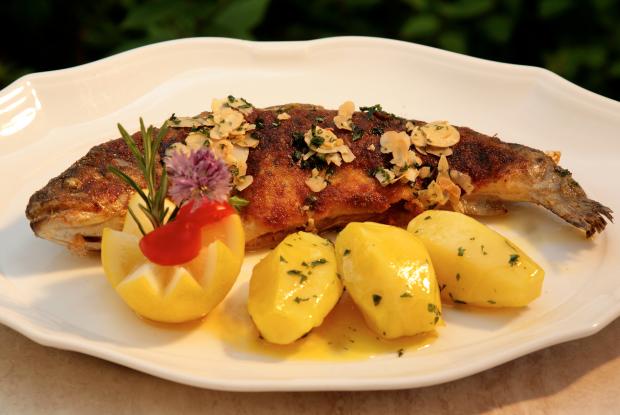 Gegrillter Fisch und Kartoffeln auf einem weißen Teller