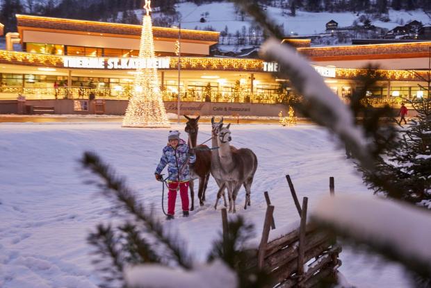 Kirchheimer Advent_Lamas_Bad Kleinkirchheim_Winter © Johannes Puch_MBN Tourismus